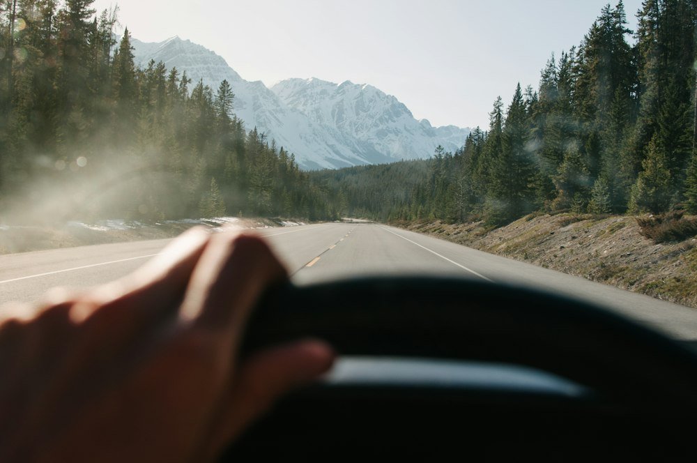 Puesto de conducción con vista a una carretera rodeada de árboles